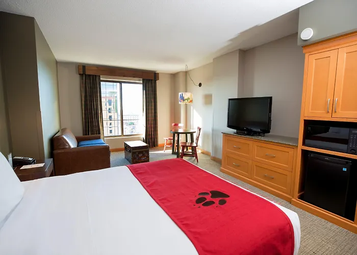 Great Wolf 4* Bloomington