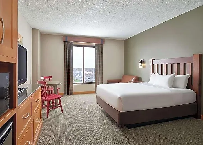 Great Wolf Hotel 4*