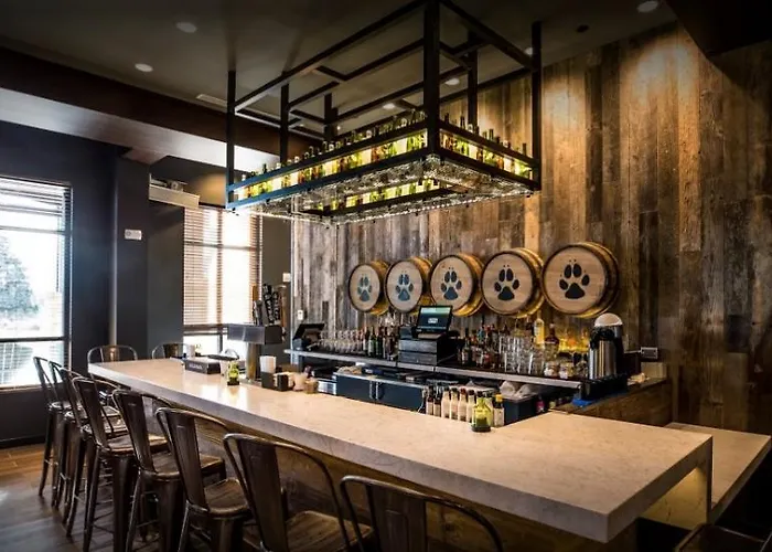 Hotel Great Wolf Bloomington